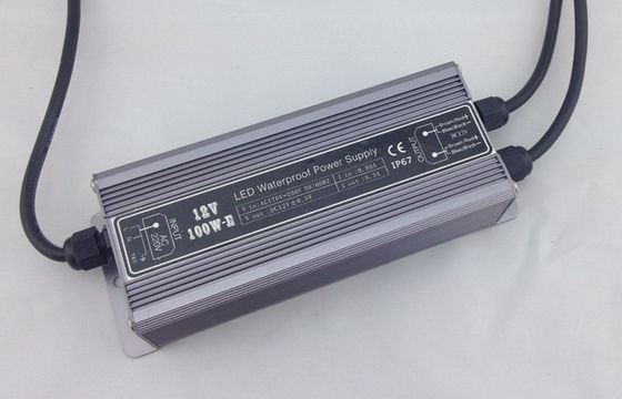 40mm LEIDEN van Mirakelbean outdoor waterproof Punt Lichte DC12V 0.75W