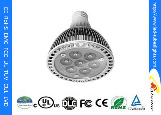 Brede LEIDENE van het Inputvoltage Vlek Gloeilampen 15 Watts Ra80, Par30-LEIDENE Schijnwerper